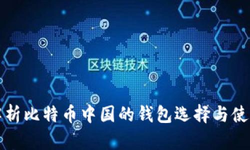 全面解析比特币中国的钱包选择与使用指南