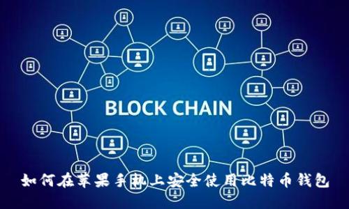 如何在苹果手机上安全使用比特币钱包