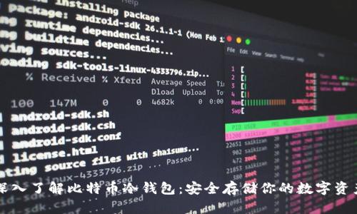 深入了解比特币冷钱包：安全存储你的数字资产