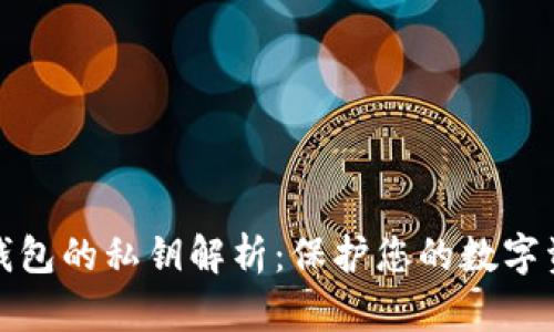 比特币钱包的私钥解析：保护您的数字资产安全