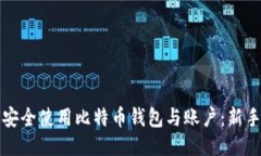 如何安全使用比特币钱包