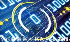 USDT转移私人钱包的全面指