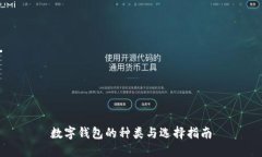 数字钱包的种类与选择指