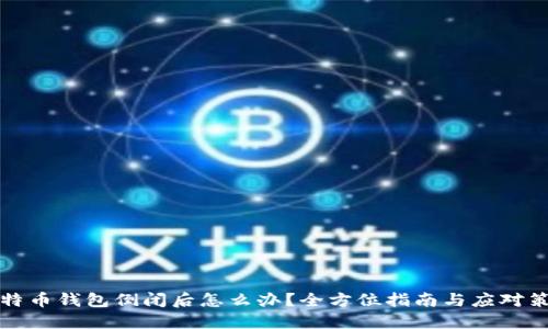 比特币钱包倒闭后怎么办？全方位指南与应对策略