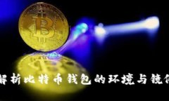 全面解析比特币钱包的环