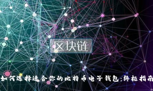 如何选择适合你的比特币电子钱包：终极指南