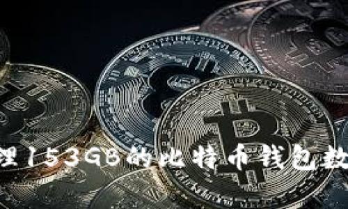 如何有效管理153GB的比特币钱包数据：实用指南