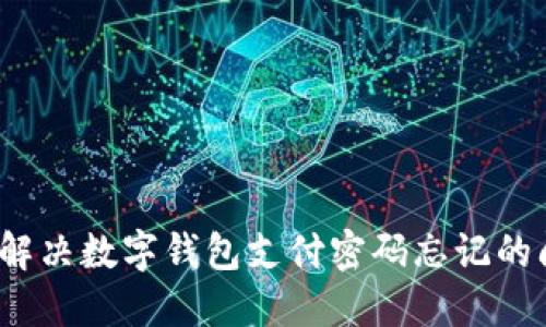 如何解决数字钱包支付密码忘记的问题？