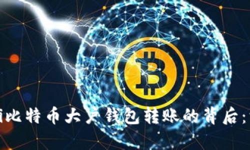 biao ti/biao ti比特币大户钱包转账的背后：深度解析与影响