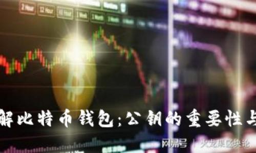 深入了解比特币钱包：公钥的重要性与安全性