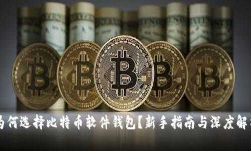 为何选择比特币软件钱包？新手指南与深度解析