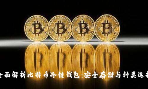 全面解析比特币冷链钱包：安全存储与种类选择