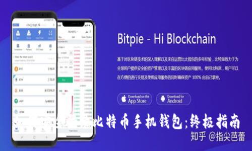 如何安全登录比特币手机钱包：终极指南