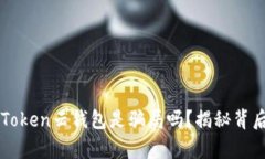 Cloud Token云钱包是骗局吗？