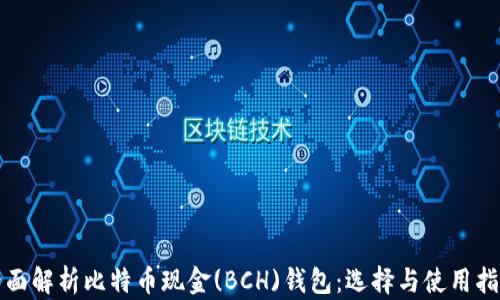 
全面解析比特币现金(BCH)钱包：选择与使用指南