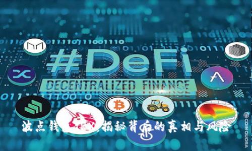 波点钱包TRX：揭秘背后的真相与风险