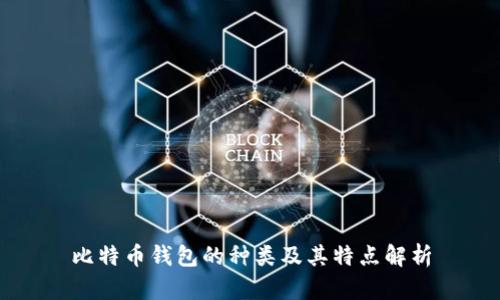 比特币钱包的种类及其特点解析
