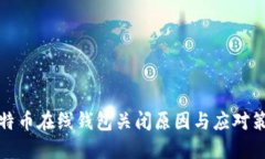 比特币在线钱包关闭原因