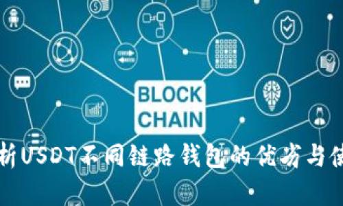 全面解析USDT不同链路钱包的优劣与使用指南