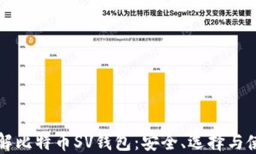 
全面了解比特币SV钱包：安全、选择与使用指南