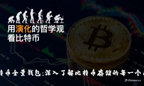 比特币全量钱包：深入了解比特币存储的每一个角落