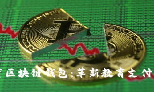 新清大教育区块链钱包：革新教育支付方式的未来