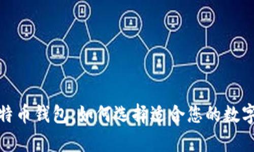 探索各版本比特币钱包：如何选择适合您的数字货币储存方案