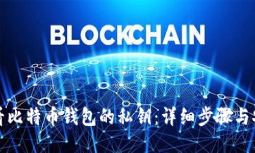 如何查看比特币钱包的私钥：详细步骤与安全指南