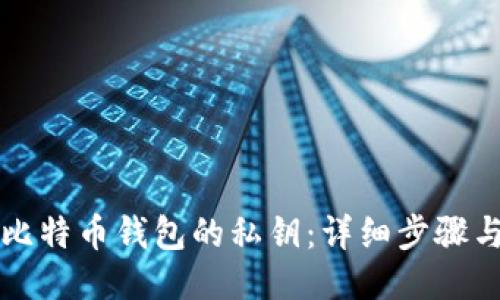 如何查看比特币钱包的私钥：详细步骤与安全指南