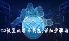 如何通过钱包ID恢复比特币钱包：详细步骤与常见