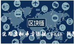如何下载和使用虚拟币幸运链 Bash 钱包：详细指