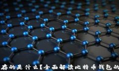 比特币钱包存的是什么？全面解读比特币钱包的